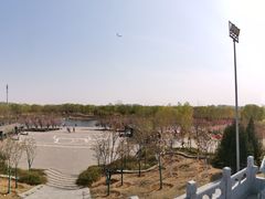 -永定河休闲森林公园