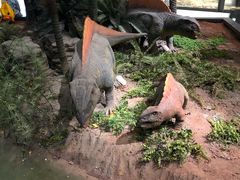 -湖南省地质博物馆