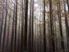 -山王坪喀斯特国家生态公园