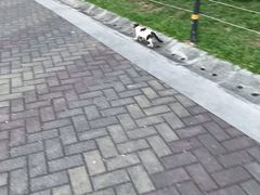 -人民公园(罗湖区)