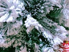 -武汉华夏国际影城(鲁广店)