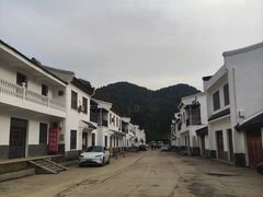 -千年银杏谷文化旅游区