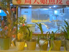 -周大娘牛乳(旧寨古村总店)