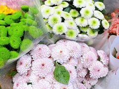 -沪花拾者(好再来花卉鲜花店)