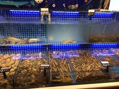 水产区-必点海鲜·鲅鱼水饺(鞍山西道店)