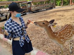 -清迈夜间动物园