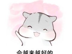 -九寸花汀(摩天活力城店)