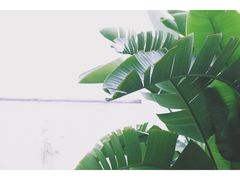-候鸟水榕庄度假酒店