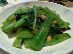 凤尾菜-新荣记(新源南路店)