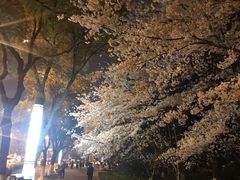 -玉山公园