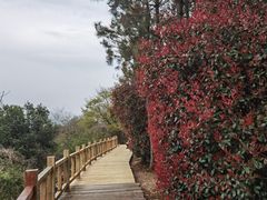 -许家山