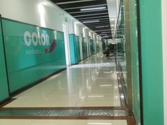 -陕西省小天鹅艺术团