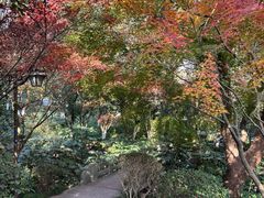 -杭州半山国家森林公园