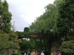 -昆山城市生态森林公园