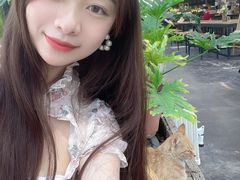 -北马山庄植趣咖啡
