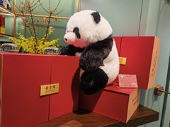 -南堂馆·新川菜(春熙路店)