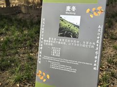 -绿堤公园