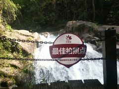 -九龙江国家森林公园