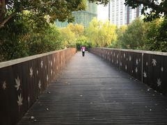 -南翔镇银翔湖公园