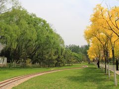 -南翠屏公园
