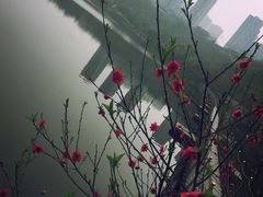 -重庆彩云湖湿地公园