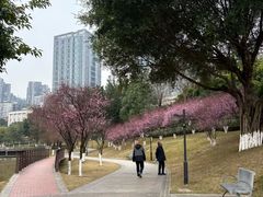 -沐仙湖湿地公园