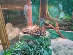 -上海大自然野生昆虫馆