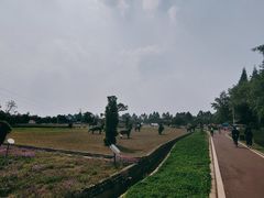-夏河溪乡野公园