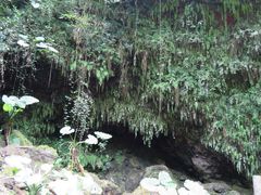 -海口火山口国家地质公园