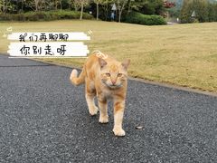 -上海月湖雕塑公园