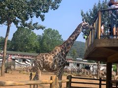 -大连森林动物园