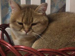 -宽板凳老灶火锅(南礼士路店)