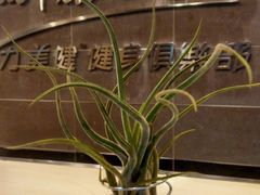 -广州市力美健天娱健身运动有限公司