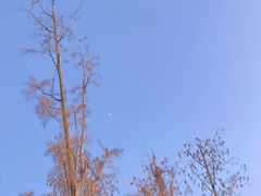 -马栏山视频文创产业园