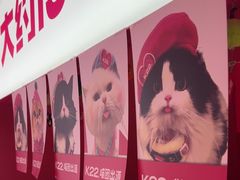 -K22.酸奶草莓(烟台芝罘店)
