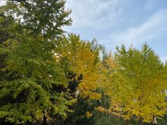 -元大都城垣遗址公园