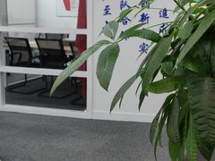 -上海迪伦律师事务所