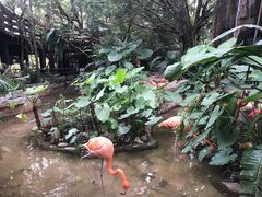 -长鹿旅游休博园