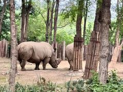 -北京野生动物园