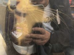 -宠爱国际动物医院·消化内科·心肾内科·ISFM猫友好(望京店)