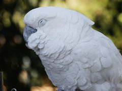 -云南野生动物园