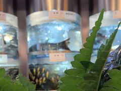 -老船舫·现做活鲜鱼馆(东郊记忆店)