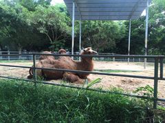-广东茂名森林公园