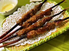 红柳烤串-新疆红柳花餐厅(新洲店)