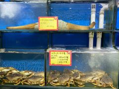 水产区-蚝专家(北滘店)