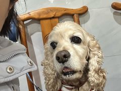 -明焱黑豆花中餐馆(箱箱街店)