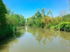 -溱湖国家湿地公园