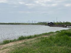 -天津东丽湖风景区