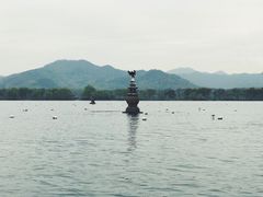 -西湖外事游船(花港观鱼码头)