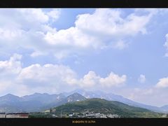 -鲁菜根·泰山菜(泰山店)
